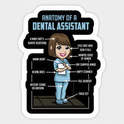 Anatomy Of A Dental Assistant - Dentist Teeth