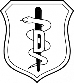 United States Air Force Dental Corps Badge | Logo | Pinterest ...