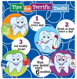 Tips for Terrific Teeth! 1) Floss every day! 2) Brush at ...
