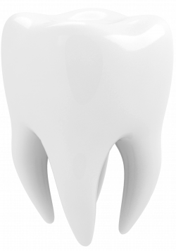 Dentist Wellington | Emergency Dentist | Naenae Dental Clinic