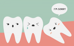 Wisdom Teeth Removal - Dentist in Canyon Lake & New ...