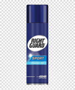 Right Guard Dove Men+Care Antiperspirant Deodorant Dry Spray ...