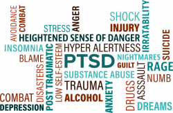 Trauma and PTSD Treatment - Helping Fort Collins and Northern Colorado