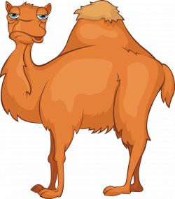Camel Cartoon Stock photography Stock illustration - camel 5128*5856 ...