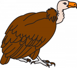 Vulture Clipart animated - Free Clipart on Dumielauxepices.net