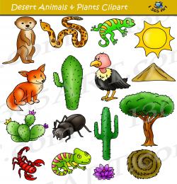 Desert Clipart Set - Desert Animals & Terrain | Classroom ...