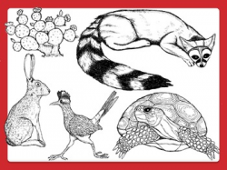 Comercial Clipart: Desert Animals and Plants in Black and White