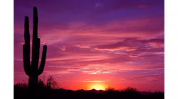 Desert Sunset Wallpapers - Top Free Desert Sunset ...