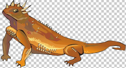 Texas Horned Lizard Reptile Desert Horned Lizard PNG ...