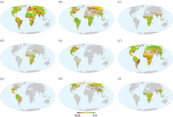 Global hotspots of fragmentation and core habitat for the world's ...