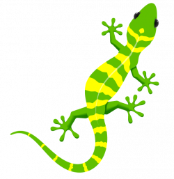 Gecko Image © Alhovic | gecko pintura | Pinterest | Geckos, Map ...