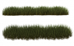Grass Clumps 02 by wolverine041269.deviantart.com on @deviantART ...