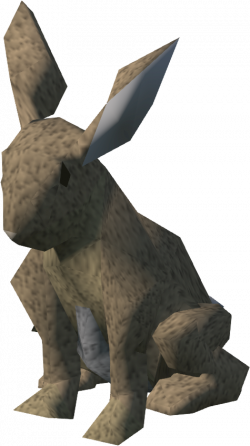 Rabbit | RuneScape Wiki | FANDOM powered by Wikia