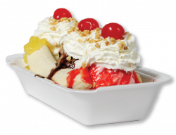 Twistee Treat | Best Ice Cream Dessert Orlando | Tampa | Houston ...