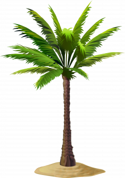 Palm Free PNG Clip Art Image | Gallery Yopriceville - High-Quality ...