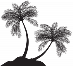 Two Palm Trees Silhouette PNG Clip Art | Gallery Yopriceville ...