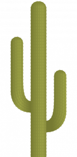 Cactus Plant Vector PNG Image - PngPix