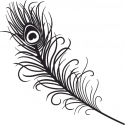 Gallery: Eagle Feather Outline, - Drawings Art Gallery