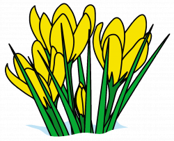 Free Clipart Spring - clipart