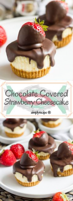 540 Best Mini Cheesecakes images in 2019 | Cheesecake cake ...