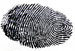Download detektiv spor clipart Detective Fingerprint | Line ...