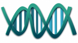 dna-820x460 - The Foundation For Peripheral Neuropathy