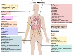 Organ Systems of Body