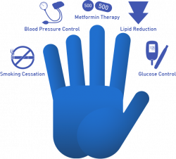 The 5 Priorities in the Hand Model – Food and Health Communications