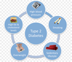 causes of diabetes clipart Type 2 diabetes Diabetes mellitus ...