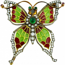 Pin by Jean Carl on Butterflies/Dragonflies/Moths..oh my | Pinterest ...
