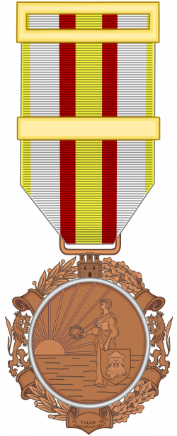 Military Medal (Spain) - Wikipedia