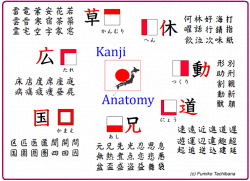 How to Look Up Kanji You Don't Know