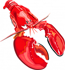 Crustacean clipart lobster dinner - Pencil and in color crustacean ...