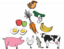 Pleased to meat you | Well Being Guide | Halifax, Nova Scotia | THE ...