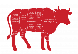 High-Steaks-Homekill-Beef-Cuts.png (2362×1654) | Beef | Pinterest