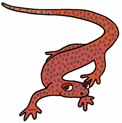 Animals Clip Art by Phillip Martin, Tennessee Cave Salamander