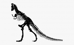 Dinosaur Clipart Vintage - T Rex Skeleton Art #1285235 ...
