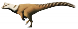 One of the earliest known dinosaurs, Herrerasaurus lived during the ...