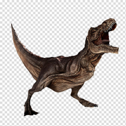 T-Rex illustration, Dinosaur Tyrannosaurus rex Carnotaurus ...