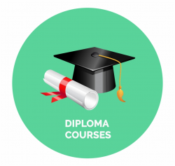 Diploma Clipart Academic Skill - Graduation, Transparent Png ...