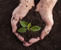 Kinds of Soil: The Dirt on These 7 Types of Dirt
