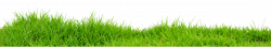 grass png image free pictures, images grass png image download free ...