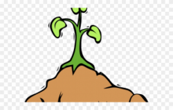 Dirt Clipart Kind Student - Cartoon Plant Growing Png ...