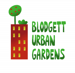 Sweet Potato — Blodgett Urban Gardens