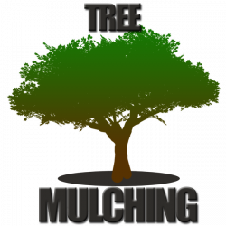 Tree mulching Fort Worth - TREE SERVICE FORT WORTH