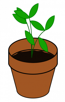 Clipart - Plant, Terracotta