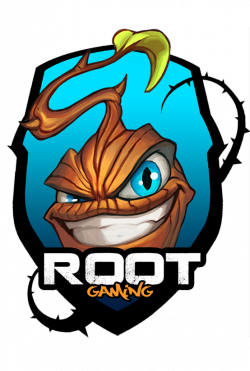 An interview with ROOTblitz: 