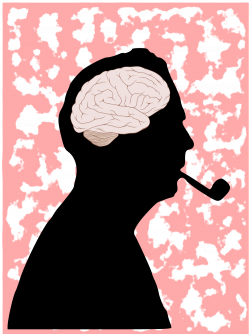 File:Mr Pipo Brain 03.svg - Wikimedia Commons