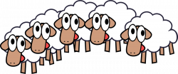 Who wants five-year old sheep? Bah! | Norah Colvin