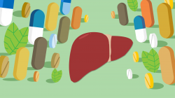 Common Drugs May Cause Liver Damage | Michigan Health Lab